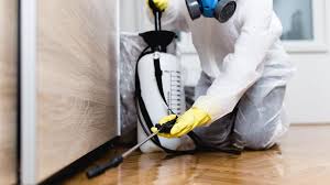 Best Residential Pest Control  in Stlman Valley, IL